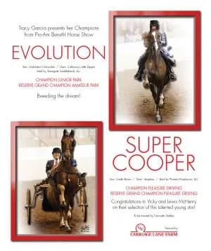 supercooper.jpg