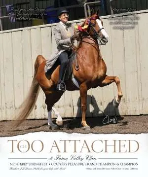 tooattached.jpg
