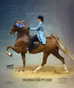 hesinstyle.jpg