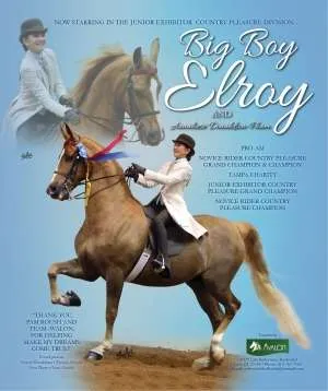 elroy.jpg