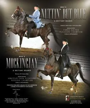 MBAEquestrian.jpg