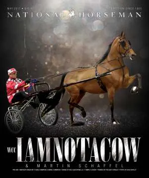 MLS-Cover.jpg