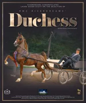 Riverdreams1.jpg