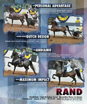 Rand1.jpg