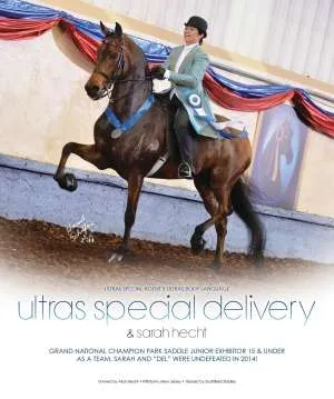 delivery-v2.jpg