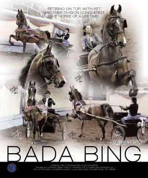 bing-v1.jpg