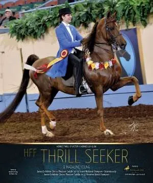 seeker-v1.jpg