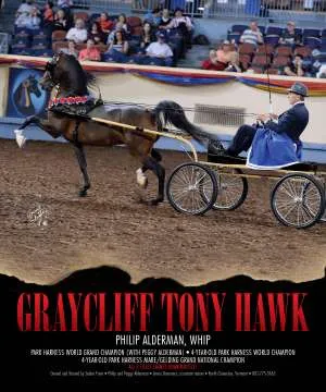 Alderman Tony Hawk.jpg