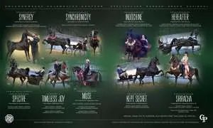 Dragonsmeade1.jpg