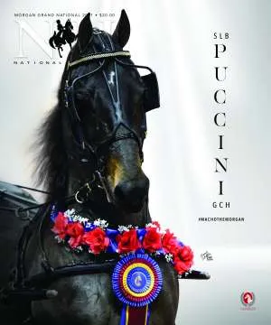 GhareebCOVER.jpg