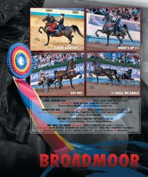 Broadmoor.jpg