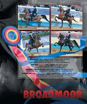 Broadmoor3.jpg