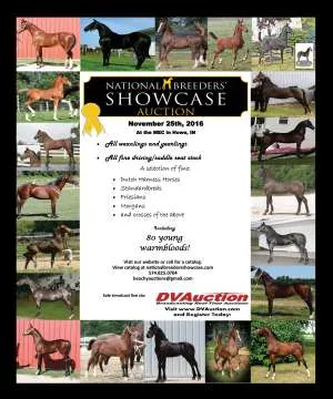 BreedersShowcase.jpg