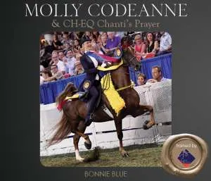 Codeanne.jpg