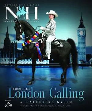 GalloCOVER.jpg