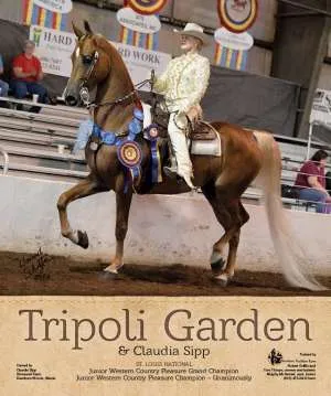 tripoligarden-v1.jpg