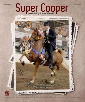 supercooper2.jpg