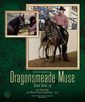 Dragonsmeade 5.jpg