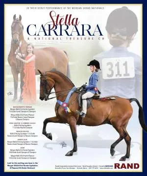 Carrara.jpg