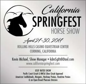 CaliforniaSpringfest.jpg