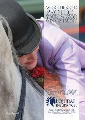 EquidaeInsurance.jpg