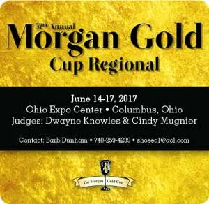 MorganGoldCup.jpg