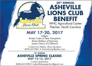AshevilleLionsSpring.jpg