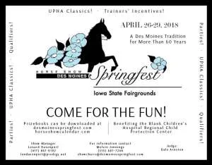 DesMoinesSpringfest.jpg