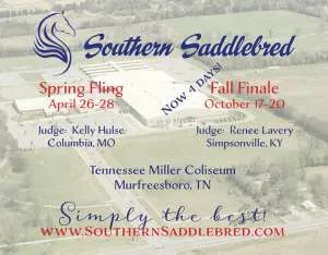 SouthernSaddlebred.jpg