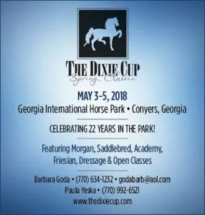 DixieCup.jpg