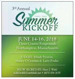 SummerKickoff.jpg