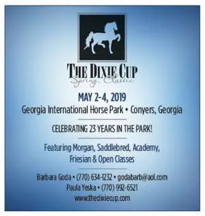 DixieCup.jpg