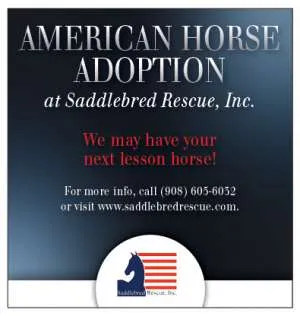 SaddlebredRescue.jpg