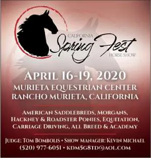 CaliforniaSpringfest.jpg
