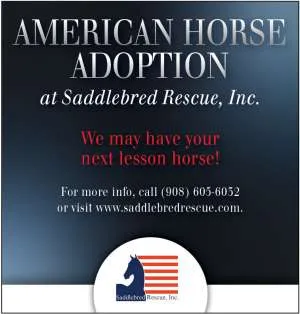 SaddlebredRescue.jpg