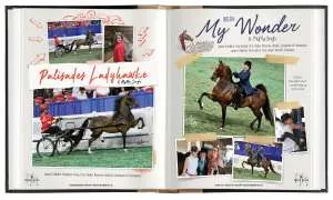 Woodleigh2.jpg