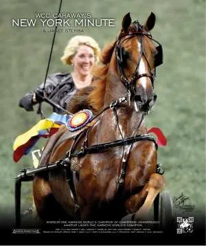 newyorkminute.jpg