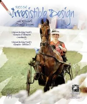 irresistabledesign.jpg
