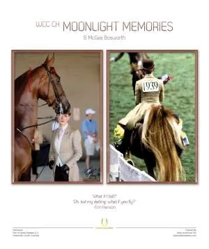 moonlightmemories.jpg