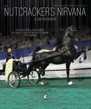 nutcrackersnirvana.jpg