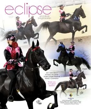 eclipse.jpg