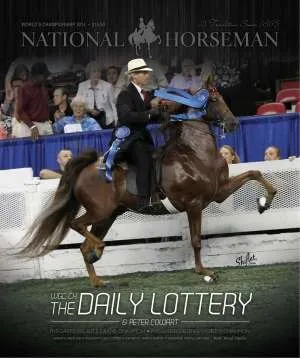 dailylottery.jpg