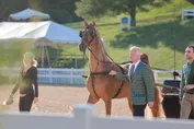 5aa38adf6307fa8f25d937bb4e7bae1f6f25a43af942ec3099eea9d8463b9bea.jpg