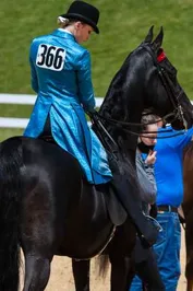 6b53359f692c2d6d837cbec1074868934886c13dfdd8892b1ec93b1cdafc221c_1_IzAwMDgwMF8xMDA=.jpg