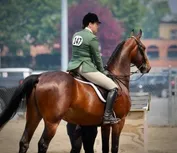 088d4219f68502e3deb1afbcd5e9668f9a66f8961e2050f41743fceedd1ff989.jpg
