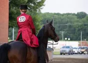 2a803762b0bc0d54b9fdae031ea02948eb4660a618101a1e4f63942d940e7439.jpg