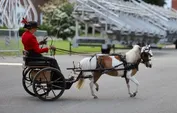 6dbf01218438de76e3886ae045a412e26d34e9698c644a9fad9211ab11244a56.jpg