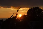 999a829ac18c2500a2095c293f1e0f840276d31facf1b5d1a62fc346e73877f1.jpg