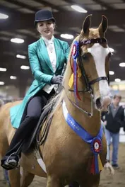 0e08981d578cacd07346aa6c204d6961e84828434630684fb604eb1da2cfb462_1_IzAwMDgwMF8xMDA=.JPG