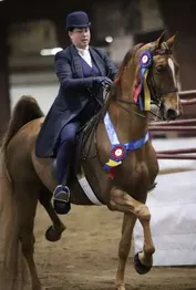 1e870cf9c48936df0d379ad3d117dd504001970d73735d0705a21f75a540cb25_1_IzAwMDgwMF8xMDA=.JPG
